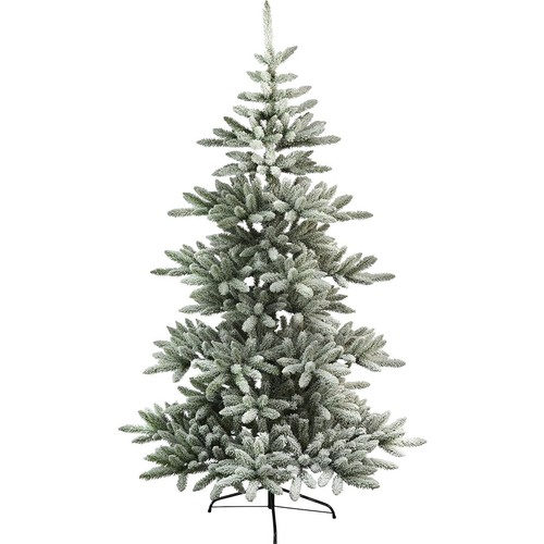Best season albero - season,